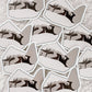 Taylor Swift TTPD Sticker